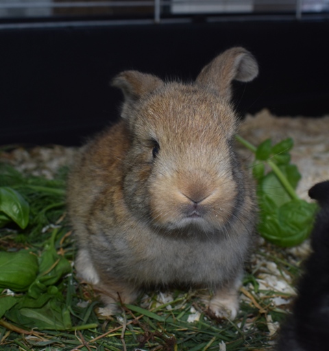 Klicke auf die Grafik f�r eine gr��ere Ansicht

Name:	3.jpg
Hits:	356
Gr��e:	111,8 KB
ID:	189387