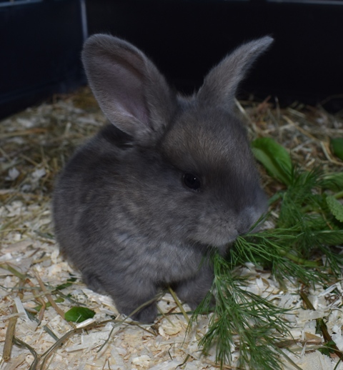 Klicke auf die Grafik f�r eine gr��ere Ansicht

Name:	2.jpg
Hits:	361
Gr��e:	131,1 KB
ID:	189388