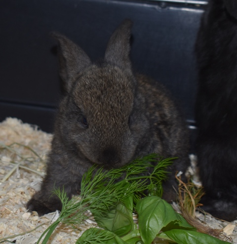 Klicke auf die Grafik f�r eine gr��ere Ansicht

Name:	1.jpg
Hits:	359
Gr��e:	109,2 KB
ID:	189389