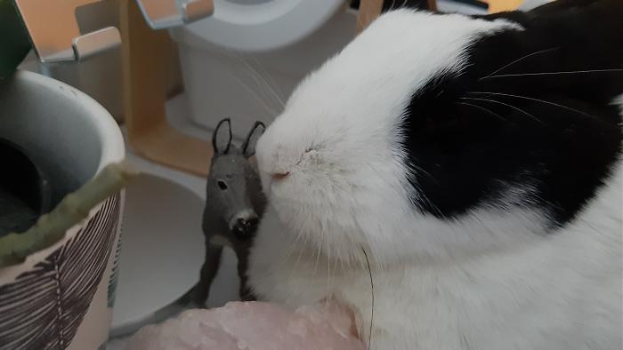 Klicke auf die Grafik f�r eine gr��ere Ansicht

Name:	20210403_144318.jpg
Hits:	2
Gr��e:	181,9 KB
ID:	189459