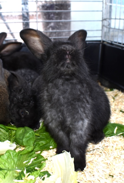 Klicke auf die Grafik f�r eine gr��ere Ansicht

Name:	5.jpg
Hits:	235
Gr��e:	150,2 KB
ID:	189481