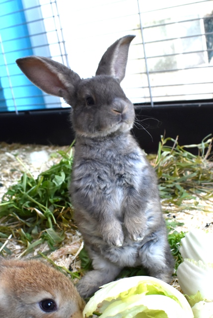 Klicke auf die Grafik f�r eine gr��ere Ansicht

Name:	3.jpg
Hits:	235
Gr��e:	153,6 KB
ID:	189483