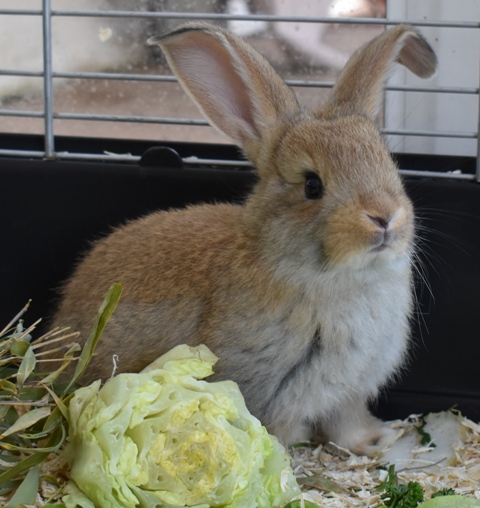 Klicke auf die Grafik f�r eine gr��ere Ansicht

Name:	1.jpg
Hits:	237
Gr��e:	131,5 KB
ID:	189485