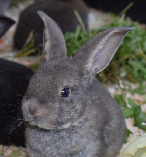 Klicke auf die Grafik f�r eine gr��ere Ansicht

Name:	6.jpg
Hits:	236
Gr��e:	111,7 KB
ID:	189486