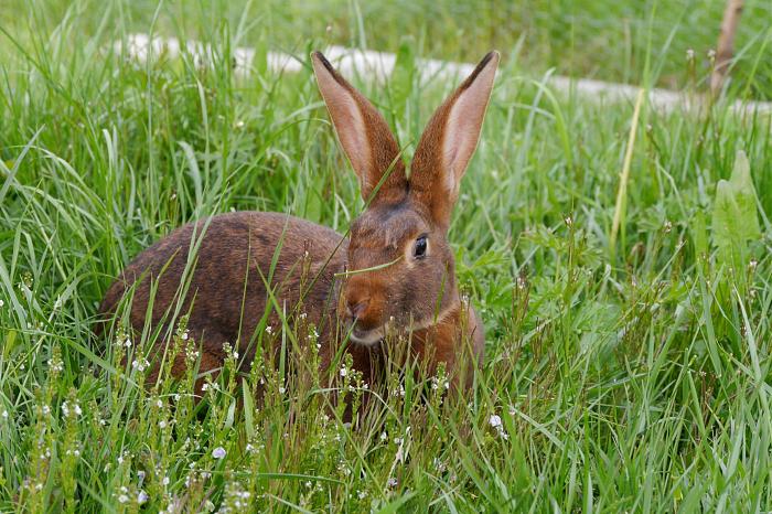 Klicke auf die Grafik fr eine grere Ansicht

Name:	P1150589 M.jpg
Hits:	0
Gre:	289,6 KB
ID:	190136