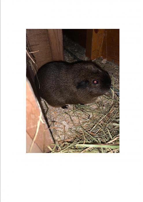 Klicke auf die Grafik f�r eine gr��ere Ansicht

Name:	meerie.jpg
Hits:	4
Gr��e:	209,3 KB
ID:	192179