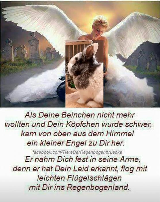 Klicke auf die Grafik fr eine grere Ansicht

Name:	Spruch Abschied Billy.jpg
Hits:	0
Gre:	94,2 KB
ID:	192786