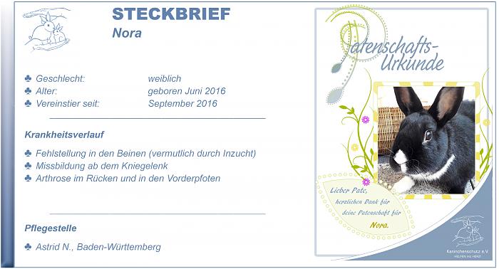 Klicke auf die Grafik fr eine grere Ansicht

Name:	Steckbrief Nora.jpg
Hits:	3
Gre:	126,3 KB
ID:	192967