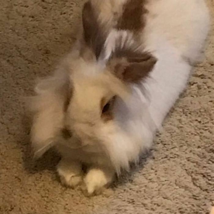 Klicke auf die Grafik für eine größere Ansicht
Name:	Screenshot_20200708-111949_WhatsApp.jpg
Hits:	2
Größe:	81,1 KB
ID:	193267