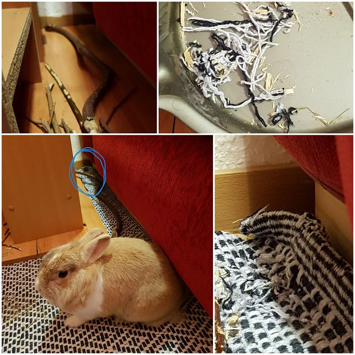 Klicke auf die Grafik fr eine grere Ansicht

Name:	IMG-20220124-WA0002.jpg
Hits:	1
Gre:	327,7 KB
ID:	193759