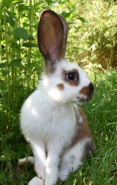 Klicke auf die Grafik f�r eine gr��ere Ansicht

Name:	18.jpg
Hits:	371
Gr��e:	44,4 KB
ID:	193808