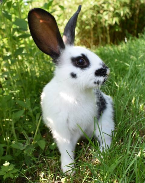 Klicke auf die Grafik f�r eine gr��ere Ansicht

Name:	21.jpg
Hits:	368
Gr��e:	48,0 KB
ID:	193811