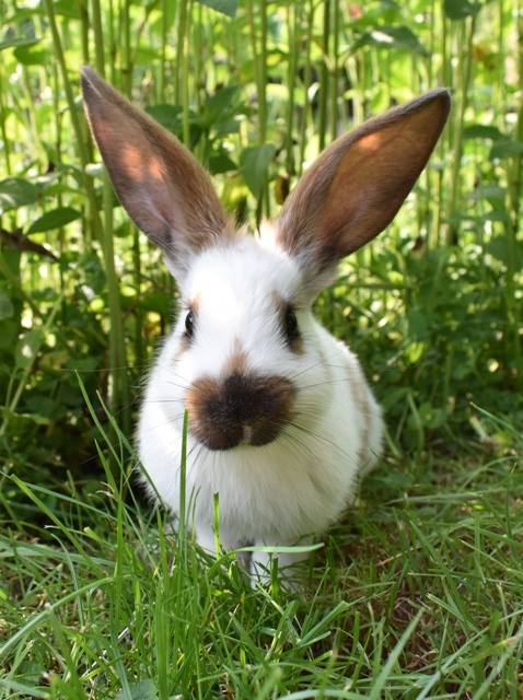 Klicke auf die Grafik f�r eine gr��ere Ansicht

Name:	23.jpg
Hits:	371
Gr��e:	56,0 KB
ID:	193815