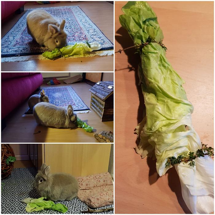 Klicke auf die Grafik fr eine grere Ansicht

Name:	IMG-20220212-WA0004.jpg
Hits:	1
Gre:	316,5 KB
ID:	194237