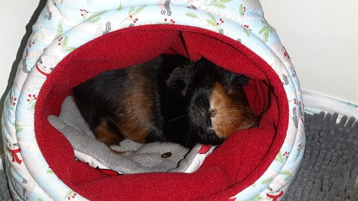 Klicke auf die Grafik fr eine grere Ansicht

Name:	20220311_055102.jpg
Hits:	1
Gre:	143,3 KB
ID:	194866