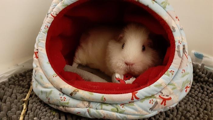 Klicke auf die Grafik fr eine grere Ansicht

Name:	20220312_035404.jpg
Hits:	0
Gre:	99,3 KB
ID:	194867