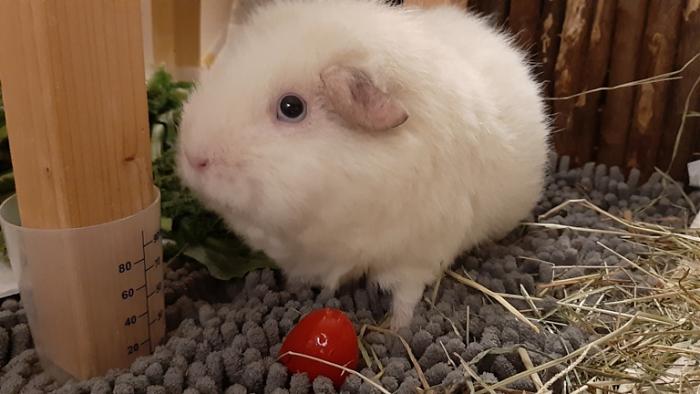 Klicke auf die Grafik fr eine grere Ansicht

Name:	20220312_205111.jpg
Hits:	0
Gre:	101,3 KB
ID:	194868