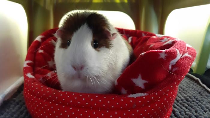 Klicke auf die Grafik fr eine grere Ansicht

Name:	20220313_093510.jpg
Hits:	0
Gre:	88,5 KB
ID:	194869