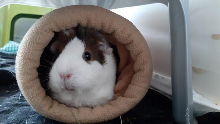 Klicke auf die Grafik fr eine grere Ansicht

Name:	20220313_121112.jpg
Hits:	0
Gre:	79,7 KB
ID:	194870