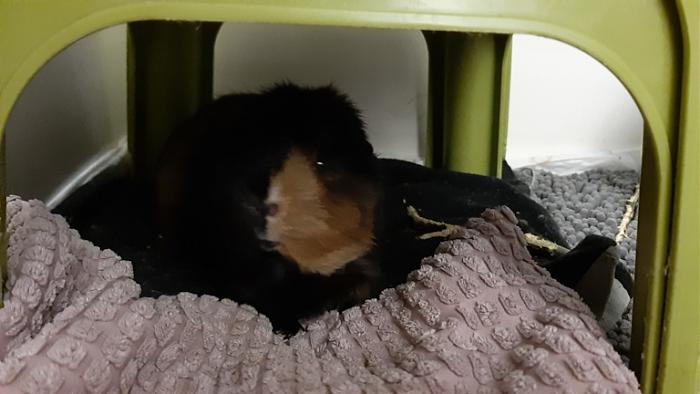 Klicke auf die Grafik fr eine grere Ansicht

Name:	20220312_035411.jpg
Hits:	0
Gre:	91,0 KB
ID:	194871