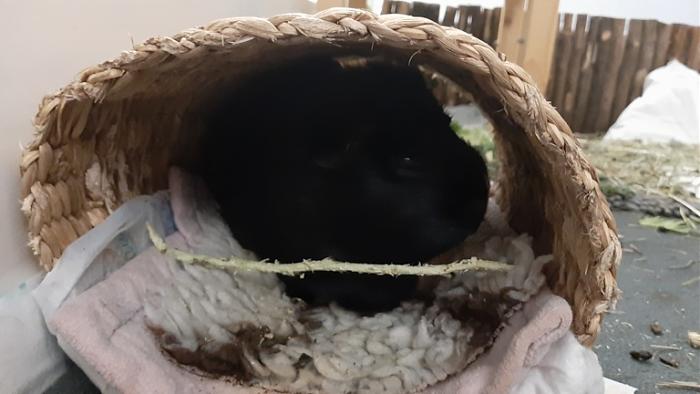 Klicke auf die Grafik fr eine grere Ansicht

Name:	20220310_041125.jpg
Hits:	0
Gre:	90,3 KB
ID:	194872