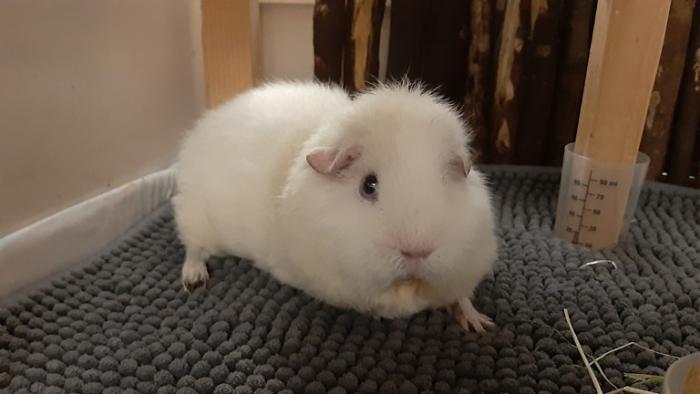 Klicke auf die Grafik fr eine grere Ansicht

Name:	20220310_060954.jpg
Hits:	0
Gre:	79,6 KB
ID:	194873