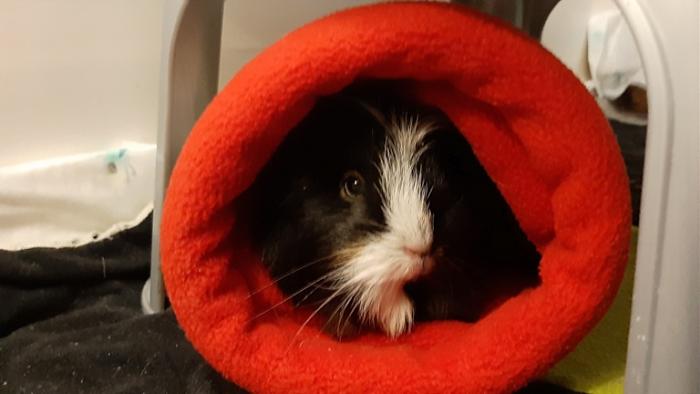 Klicke auf die Grafik fr eine grere Ansicht

Name:	20220311_055157.jpg
Hits:	0
Gre:	76,6 KB
ID:	194874