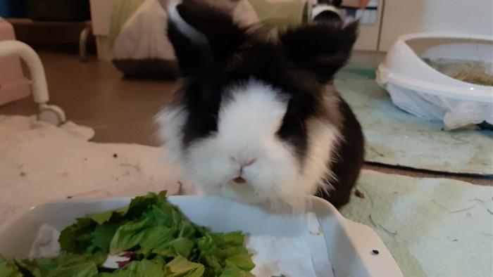 Klicke auf die Grafik fr eine grere Ansicht

Name:	20220306_182226.jpg
Hits:	0
Gre:	69,8 KB
ID:	194875