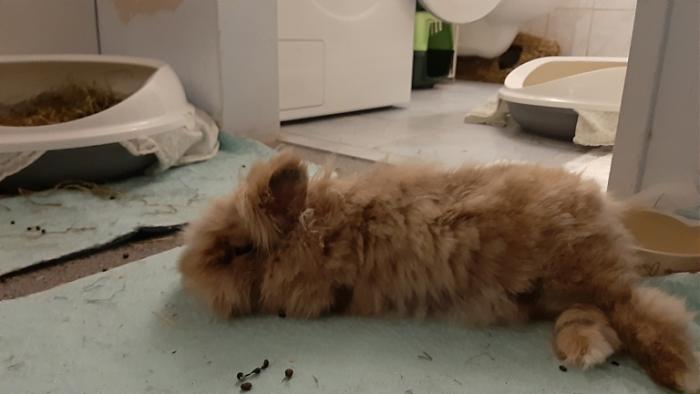 Klicke auf die Grafik fr eine grere Ansicht

Name:	20220308_035420.jpg
Hits:	0
Gre:	70,8 KB
ID:	194877