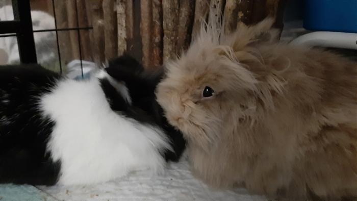 Klicke auf die Grafik fr eine grere Ansicht

Name:	20220310_053329.jpg
Hits:	0
Gre:	71,5 KB
ID:	194878