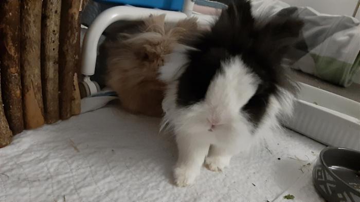 Klicke auf die Grafik fr eine grere Ansicht

Name:	20220312_035250.jpg
Hits:	0
Gre:	80,8 KB
ID:	194879