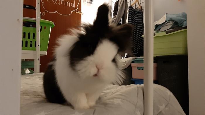 Klicke auf die Grafik fr eine grere Ansicht

Name:	20220312_061949.jpg
Hits:	0
Gre:	73,6 KB
ID:	194880