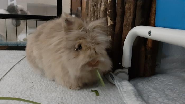 Klicke auf die Grafik fr eine grere Ansicht

Name:	20220312_063142.jpg
Hits:	0
Gre:	77,5 KB
ID:	194881