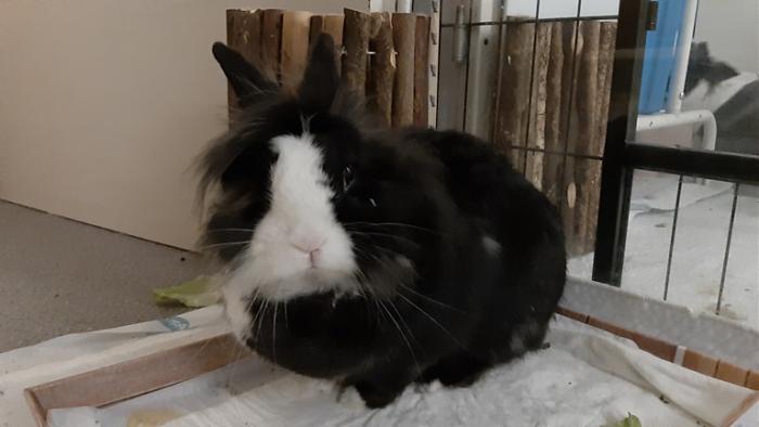 Klicke auf die Grafik fr eine grere Ansicht

Name:	20220312_061958.jpg
Hits:	0
Gre:	77,9 KB
ID:	194882