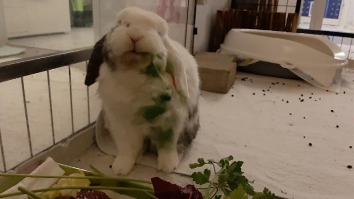 Klicke auf die Grafik fr eine grere Ansicht

Name:	20220312_063204.jpg
Hits:	0
Gre:	77,0 KB
ID:	194883