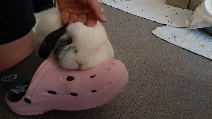 Klicke auf die Grafik fr eine grere Ansicht

Name:	20220313_070415.jpg
Hits:	0
Gre:	93,8 KB
ID:	194884