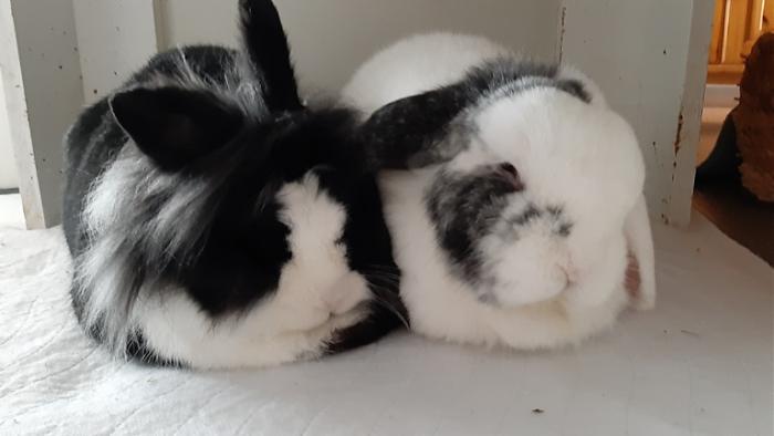 Klicke auf die Grafik fr eine grere Ansicht

Name:	20220313_121717.jpg
Hits:	0
Gre:	70,3 KB
ID:	194885