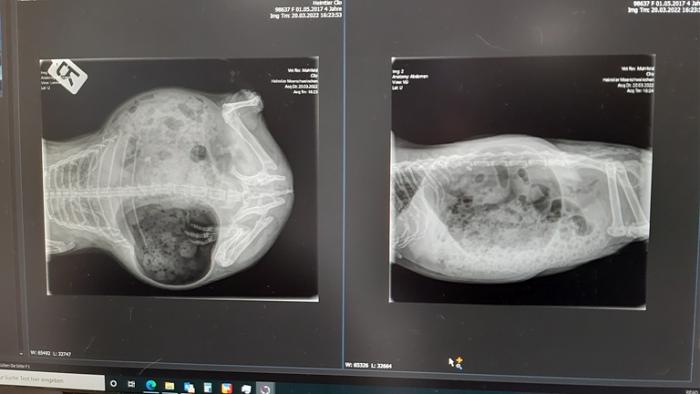 Klicke auf die Grafik fr eine grere Ansicht

Name:	20220320_163117.jpg
Hits:	1
Gre:	72,2 KB
ID:	194982