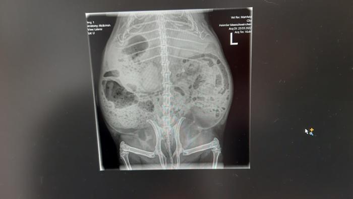 Klicke auf die Grafik fr eine grere Ansicht

Name:	20220320_165906.jpg
Hits:	0
Gre:	61,0 KB
ID:	194983