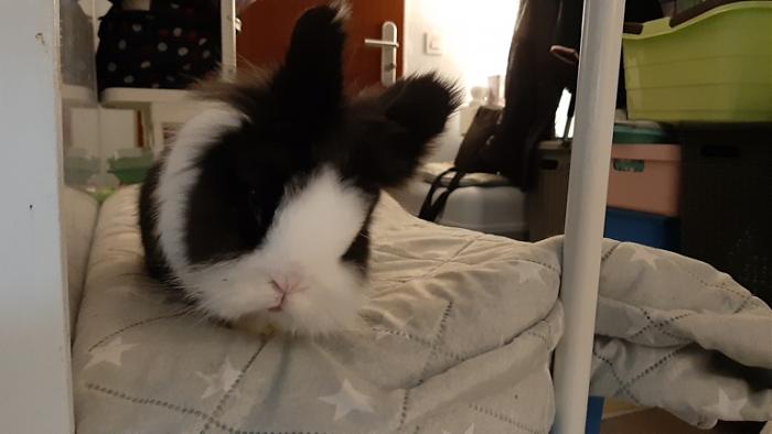 Klicke auf die Grafik fr eine grere Ansicht

Name:	20220320_075504.jpg
Hits:	1
Gre:	74,5 KB
ID:	194984