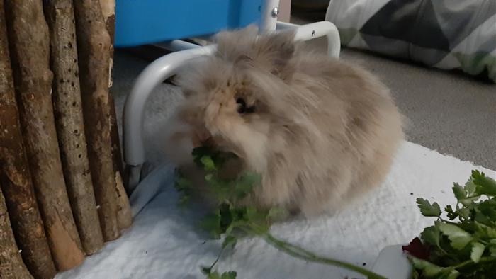 Klicke auf die Grafik fr eine grere Ansicht

Name:	20220320_075457.jpg
Hits:	0
Gre:	87,8 KB
ID:	194986