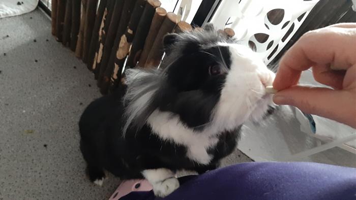 Klicke auf die Grafik fr eine grere Ansicht

Name:	20220320_090232.jpg
Hits:	0
Gre:	88,7 KB
ID:	194987