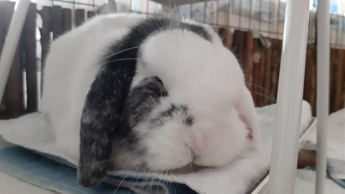 Klicke auf die Grafik fr eine grere Ansicht

Name:	20220320_095549.jpg
Hits:	0
Gre:	68,3 KB
ID:	194988