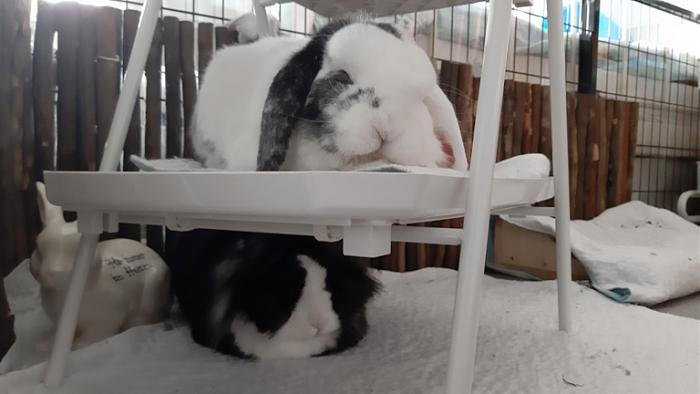 Klicke auf die Grafik fr eine grere Ansicht

Name:	20220320_095604.jpg
Hits:	0
Gre:	80,3 KB
ID:	194989