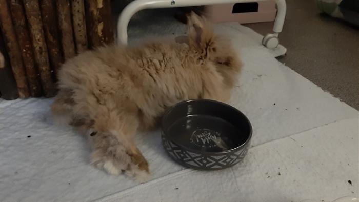 Klicke auf die Grafik fr eine grere Ansicht

Name:	20220320_072414.jpg
Hits:	0
Gre:	72,6 KB
ID:	194990