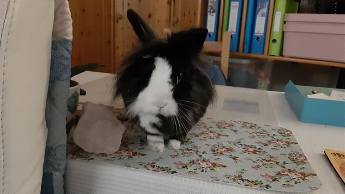 Klicke auf die Grafik fr eine grere Ansicht

Name:	20220316_044211.jpg
Hits:	1
Gre:	89,2 KB
ID:	194991