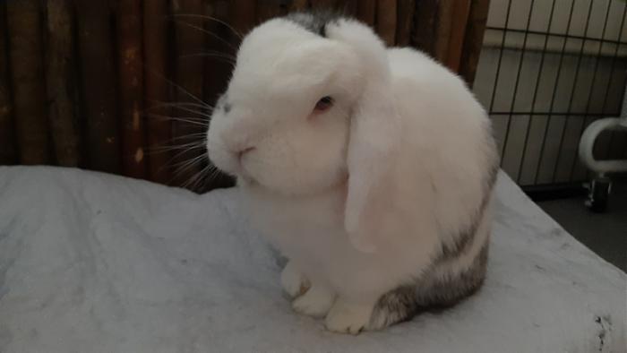 Klicke auf die Grafik fr eine grere Ansicht

Name:	20220320_072022.jpg
Hits:	0
Gre:	58,6 KB
ID:	194992