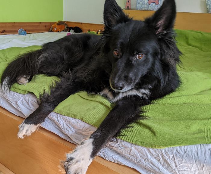 Klicke auf die Grafik fr eine grere Ansicht

Name:	PXL_20220321_114709254~2.jpg
Hits:	1
Gre:	322,4 KB
ID:	195038