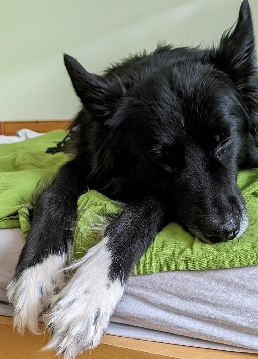 Klicke auf die Grafik fr eine grere Ansicht

Name:	PXL_20220306_152455670~2.jpg
Hits:	0
Gre:	295,1 KB
ID:	195042