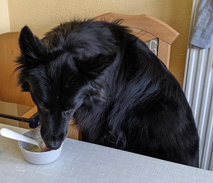 Klicke auf die Grafik fr eine grere Ansicht

Name:	PXL_20220306_150428511~2.jpg
Hits:	0
Gre:	289,4 KB
ID:	195043